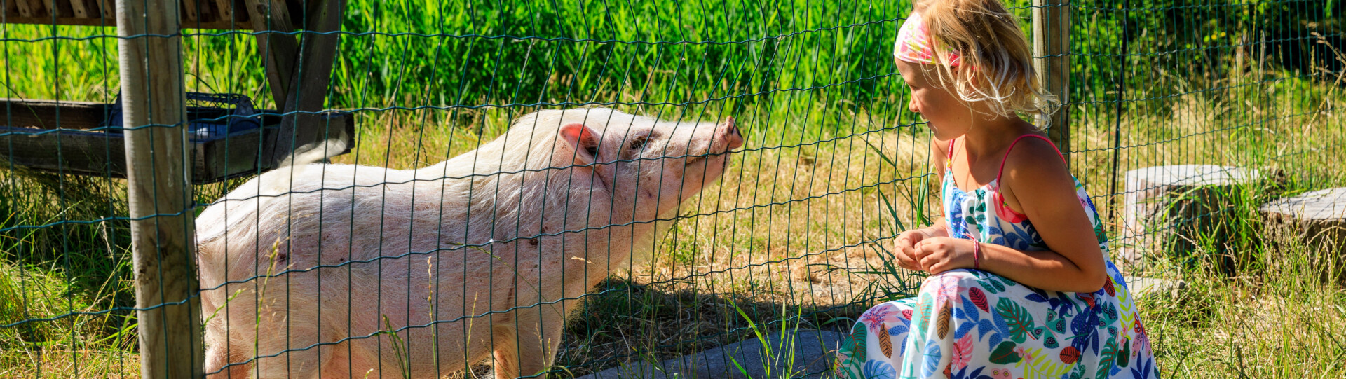 Online reserveringssysteem ons buiten sfeer