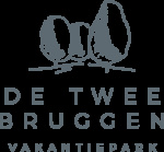 Twee bruggen logo