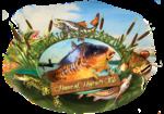 Fishing Adventure Verhuur organisaties